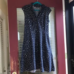 Ann Taylor Polkadot Dress